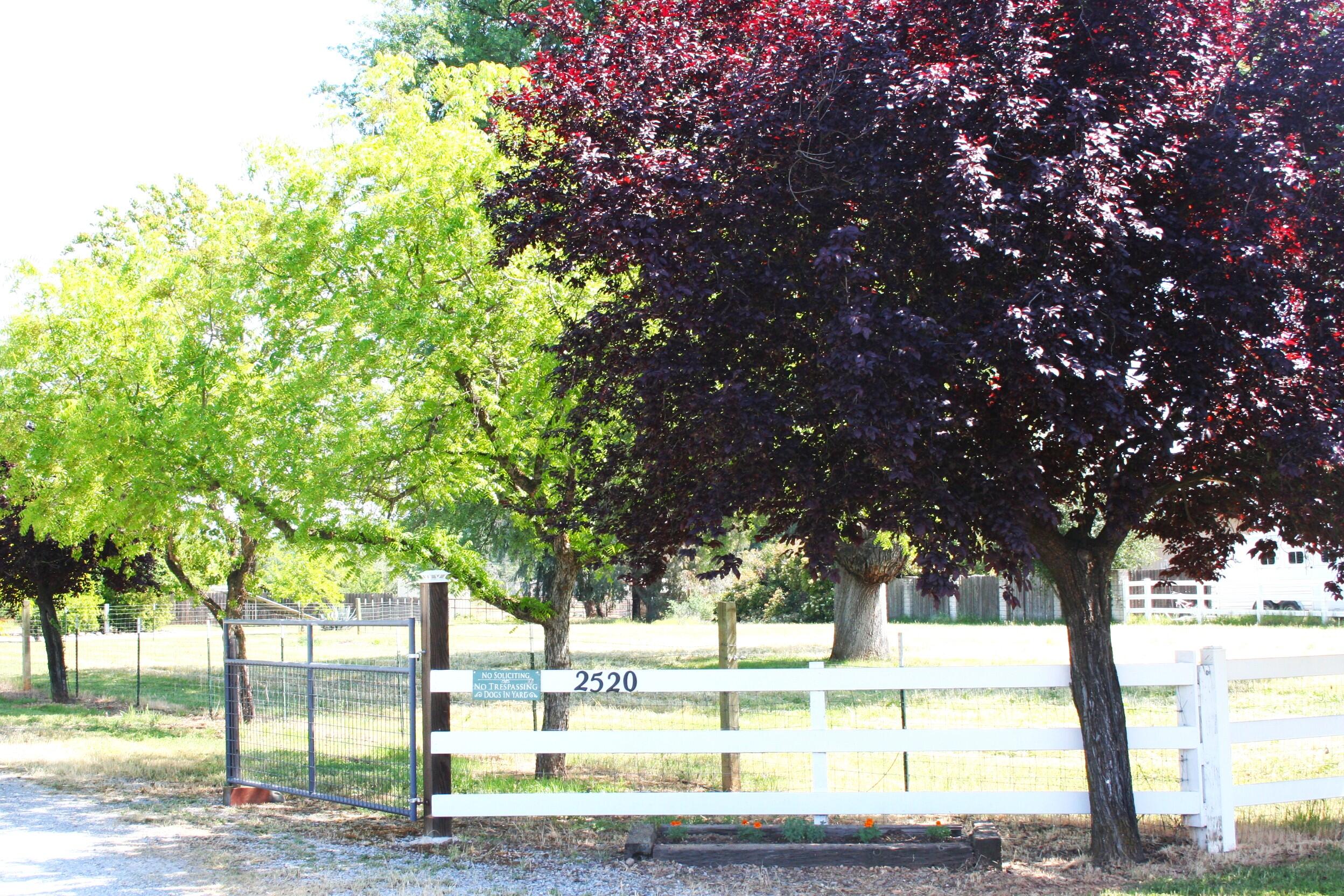 main property photo 75
