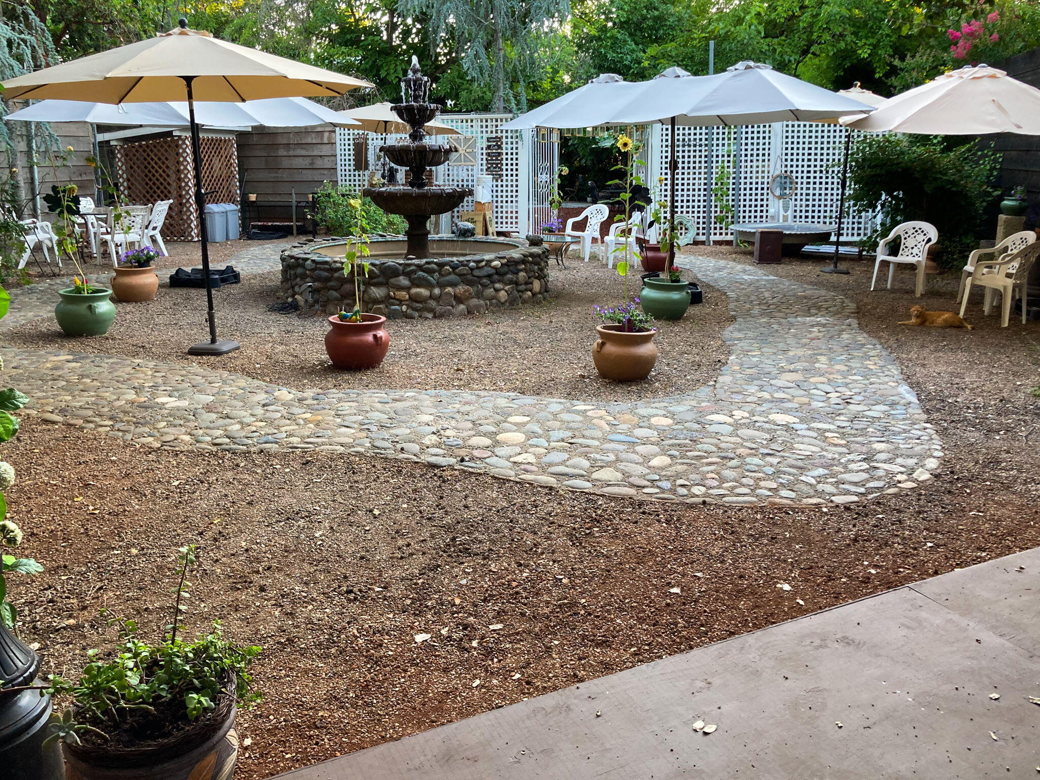 main property photo 59