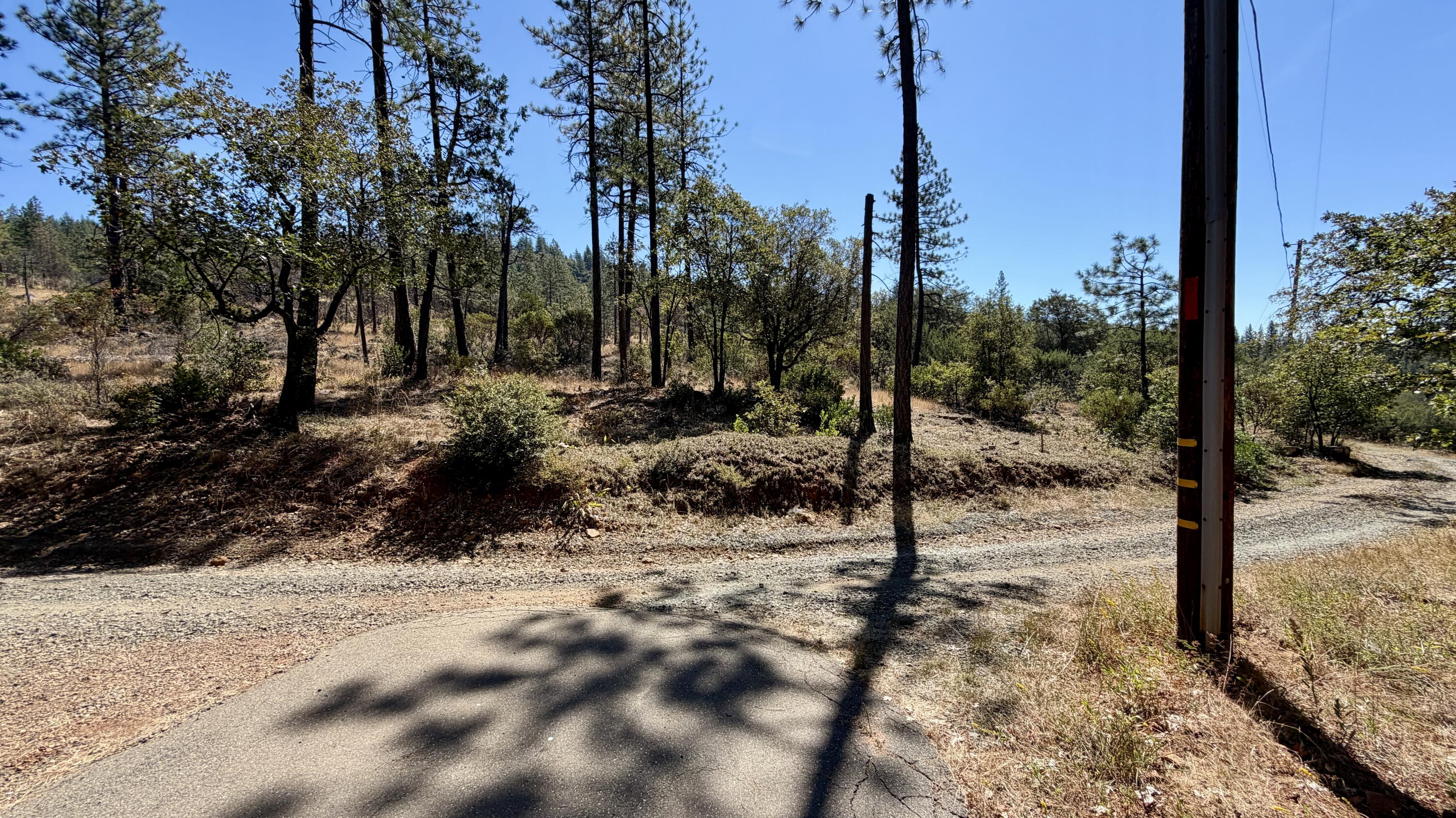 main property photo 57