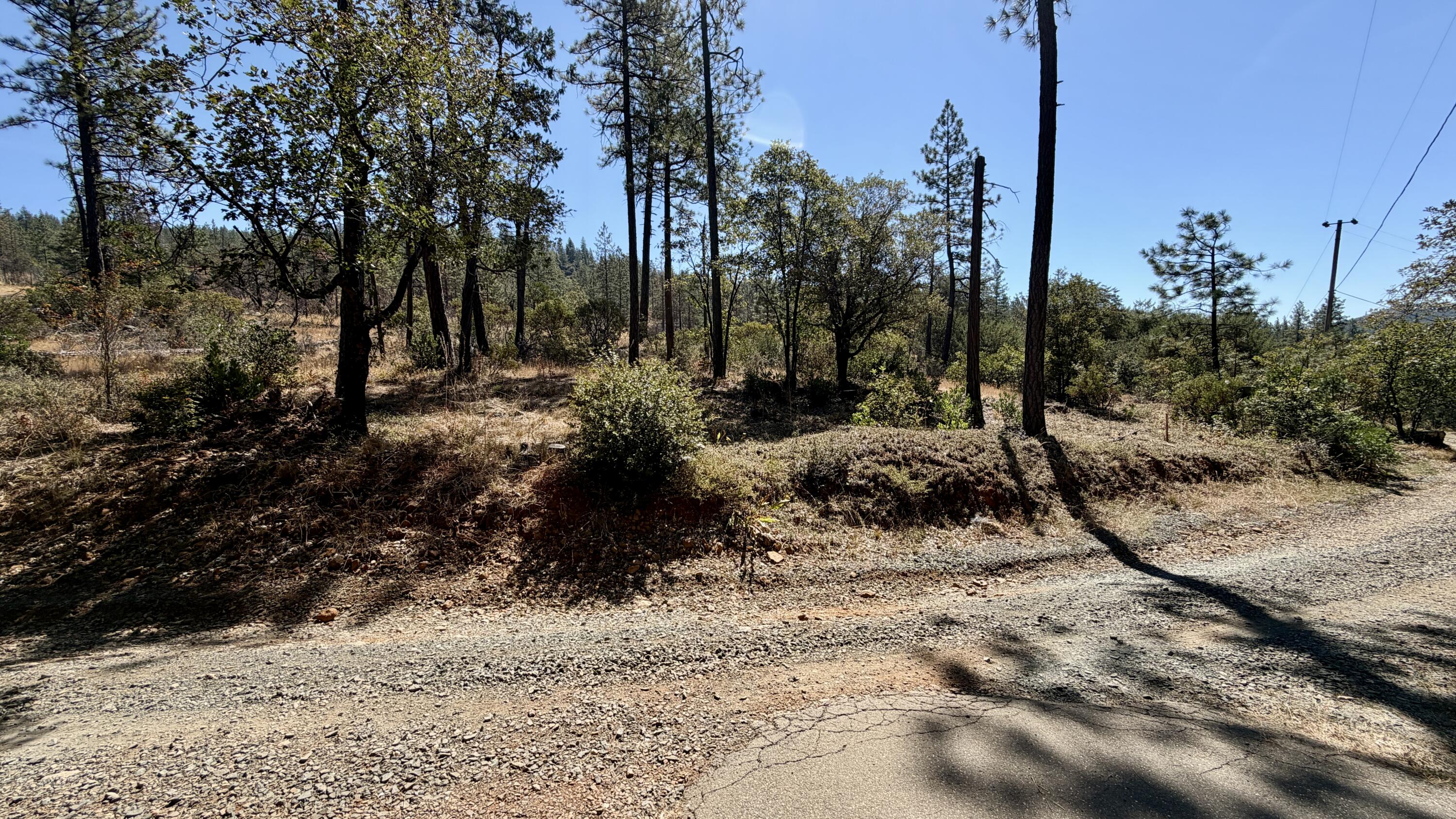 main property photo 58