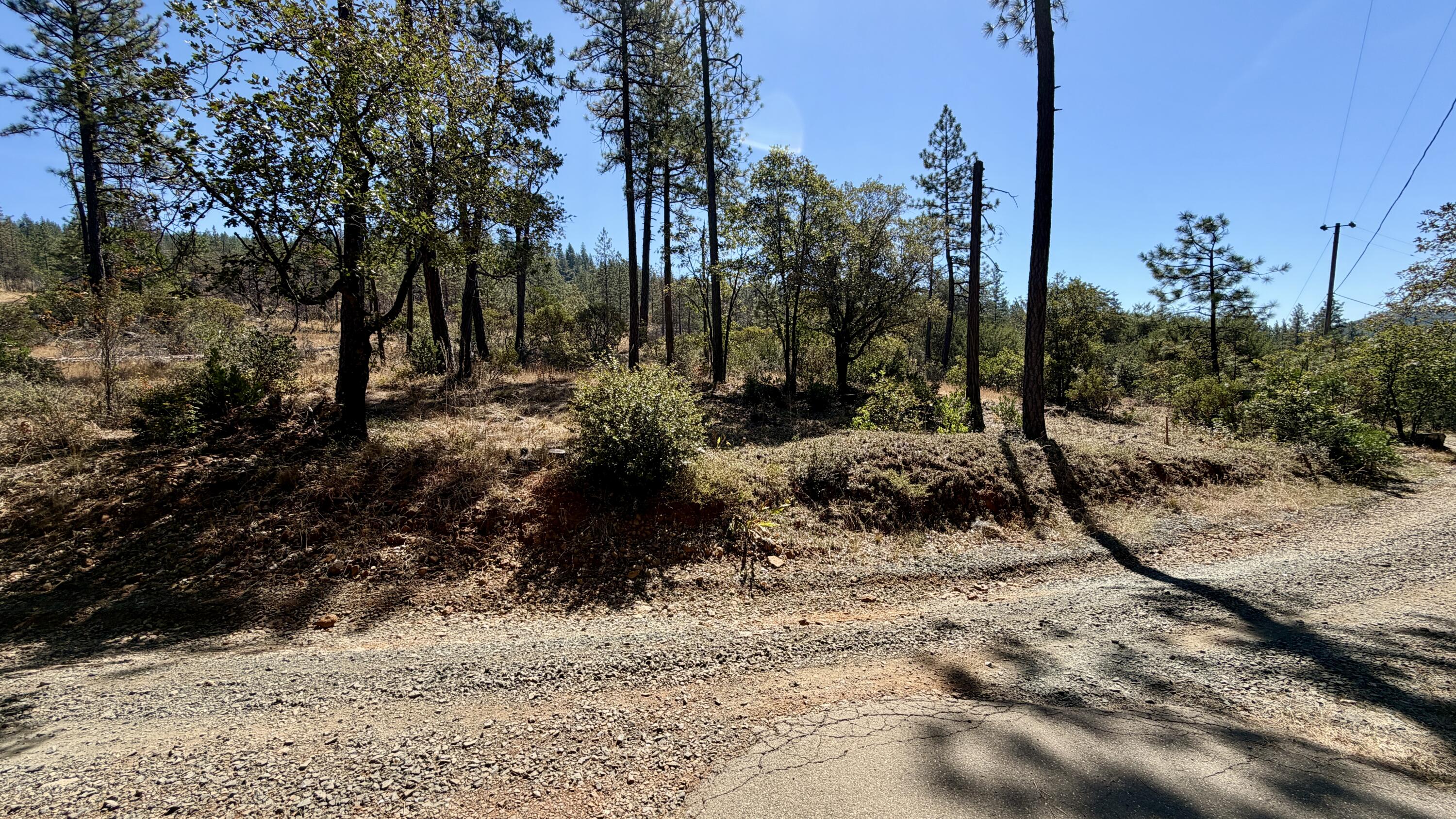 main property photo 59