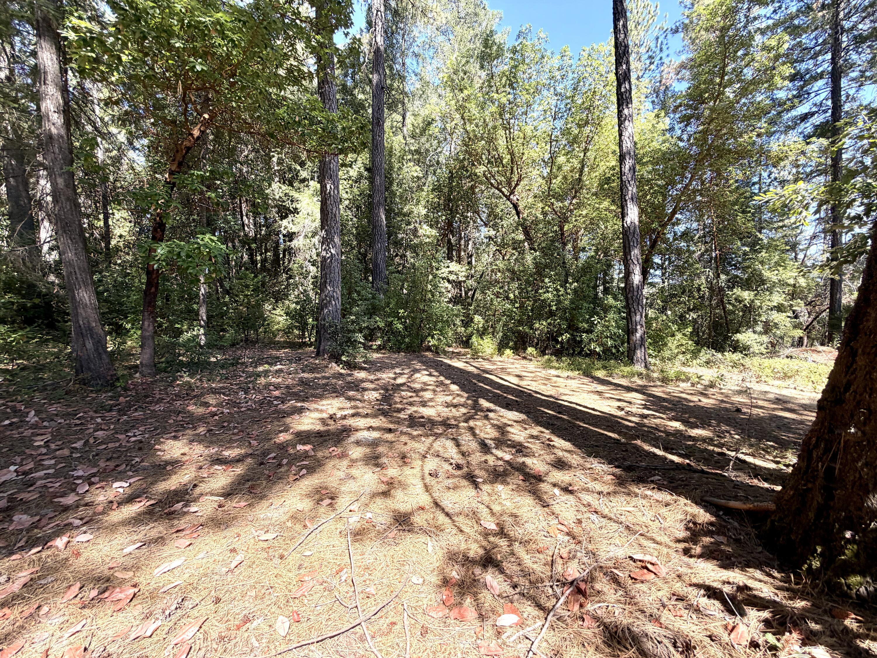 main property photo 60