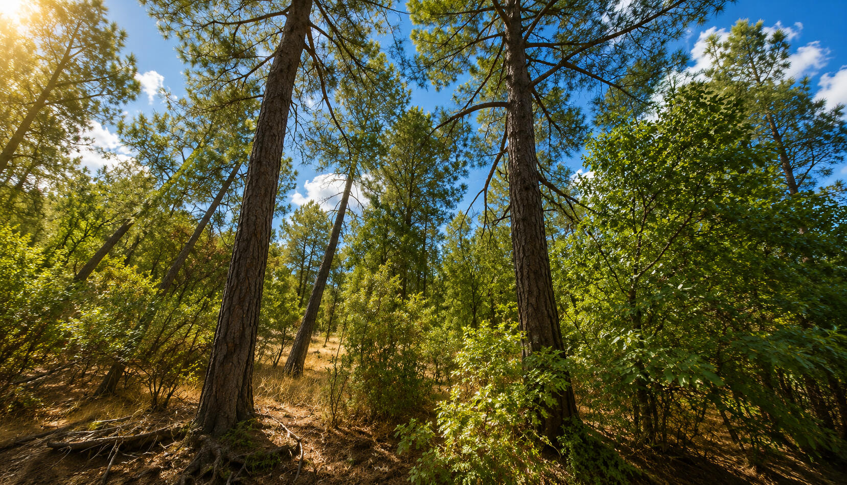 main property photo 14