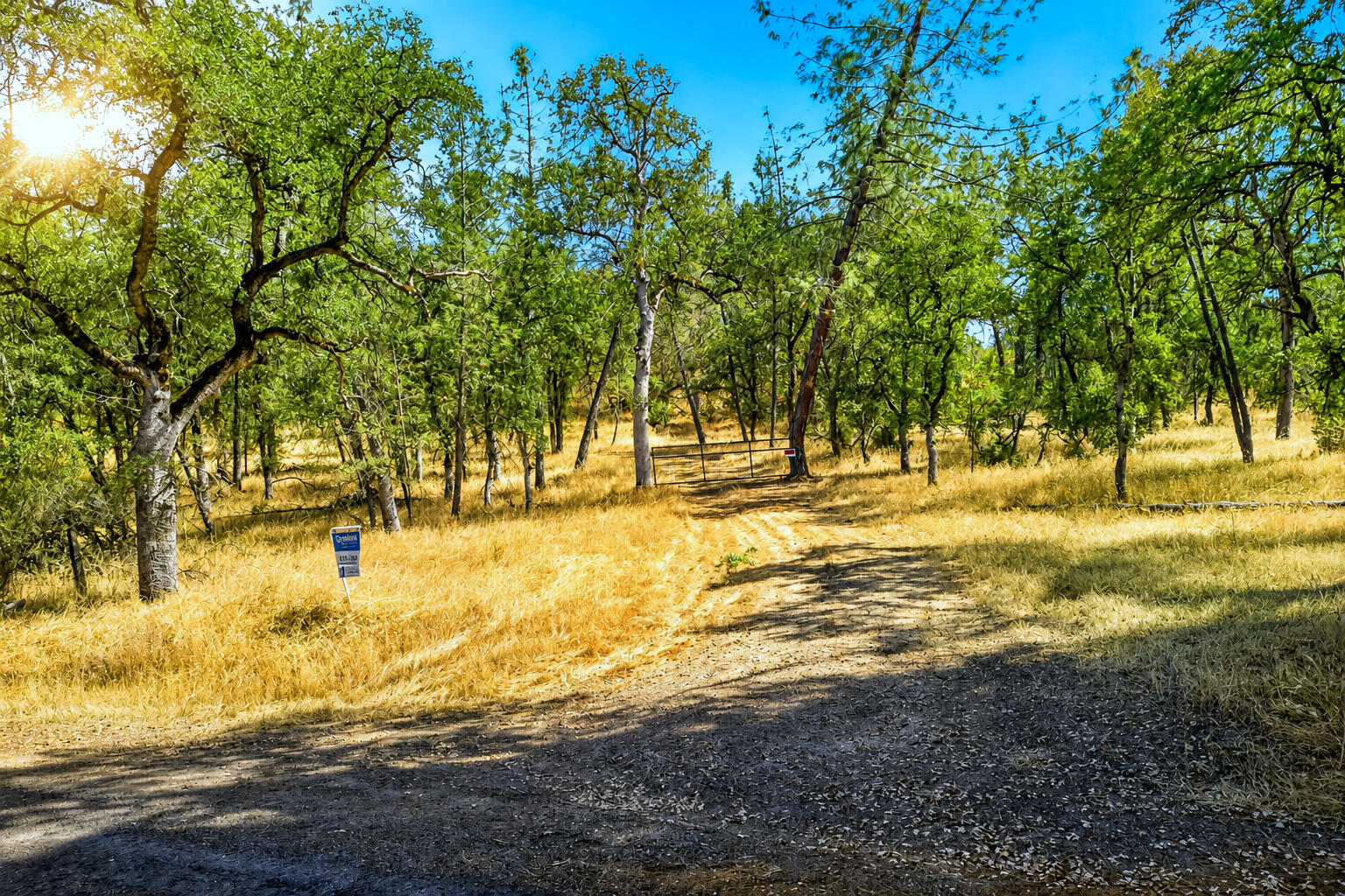 main property photo 6