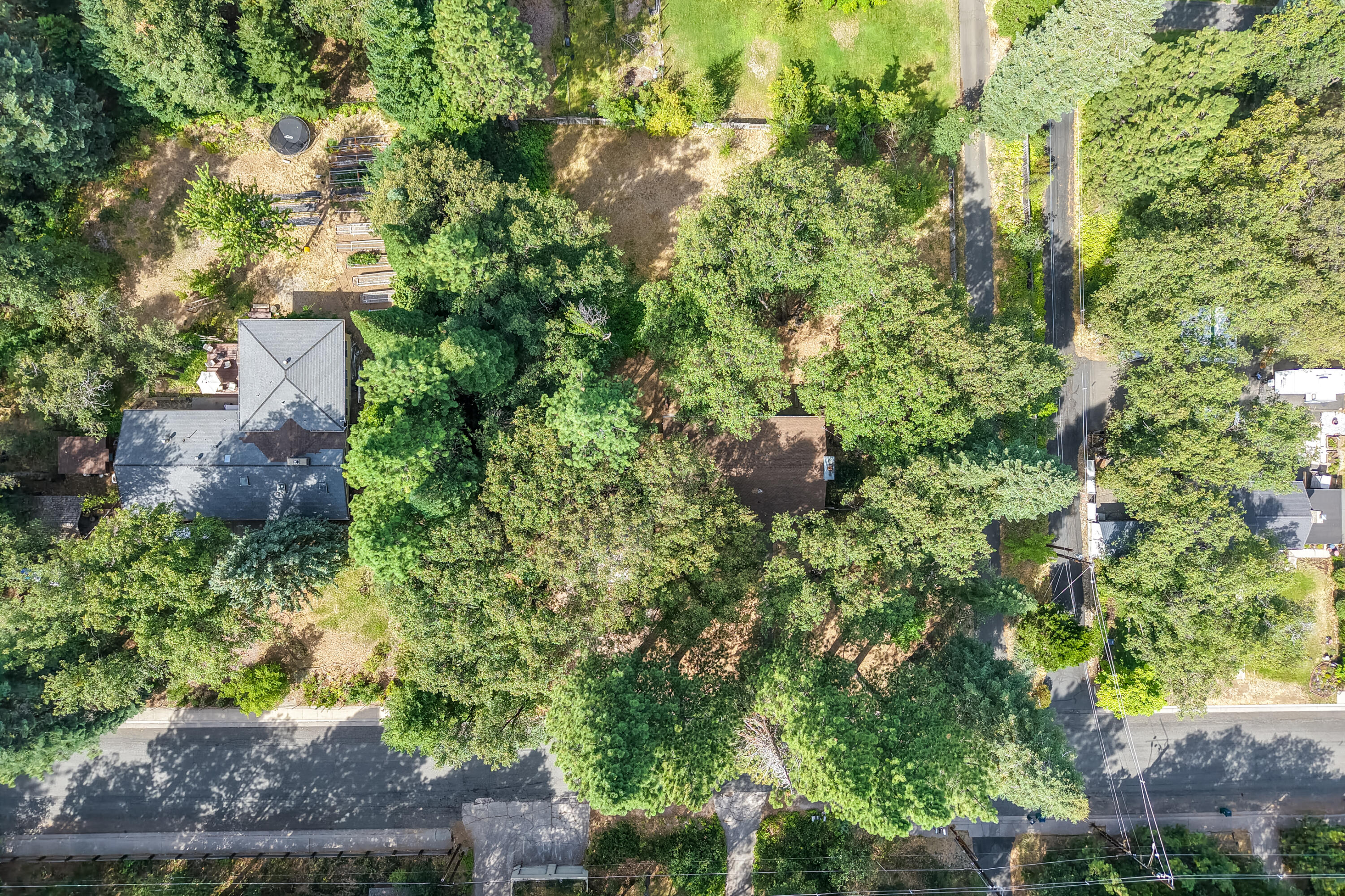 main property photo 78