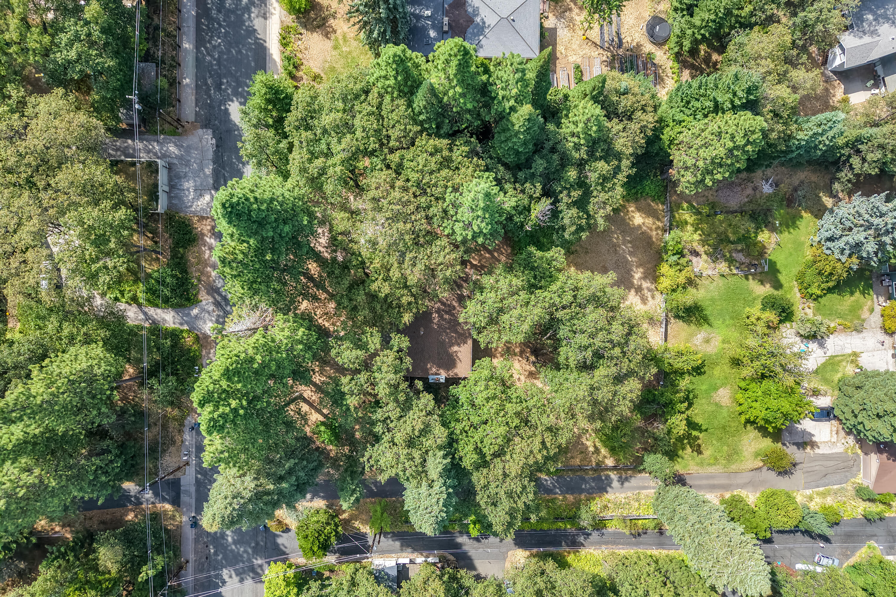 main property photo 79