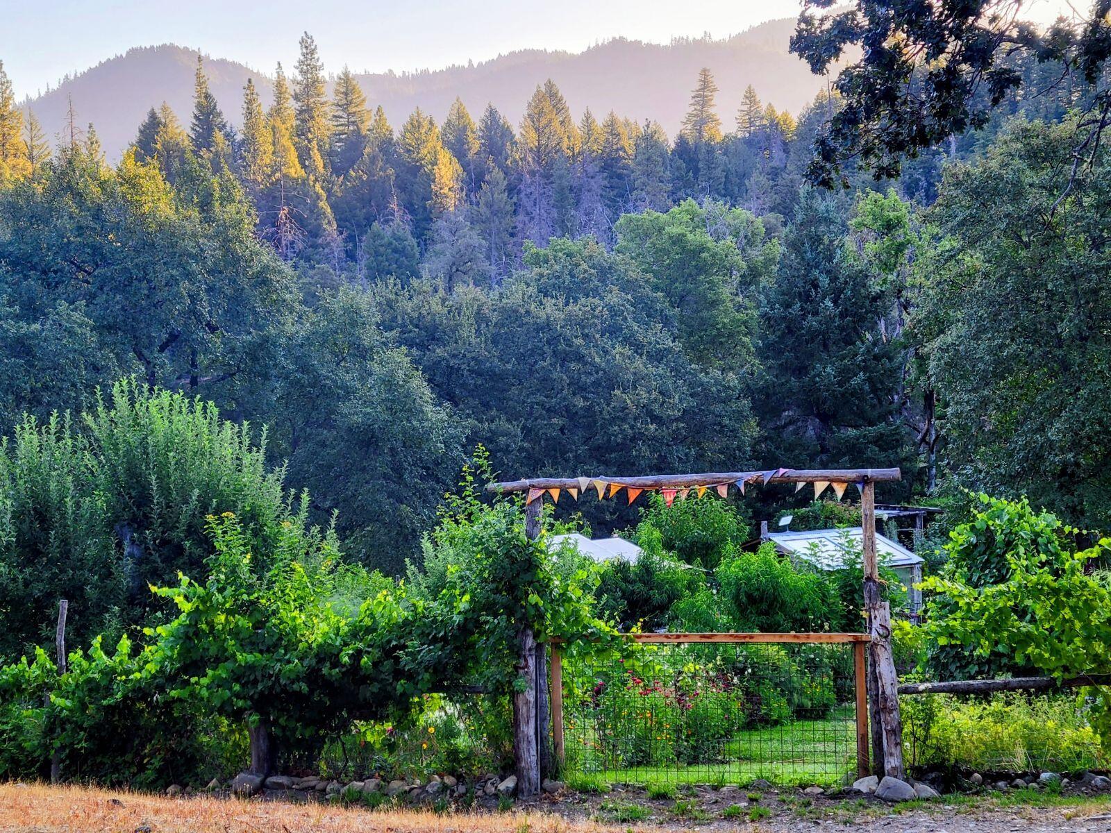 main property photo 32