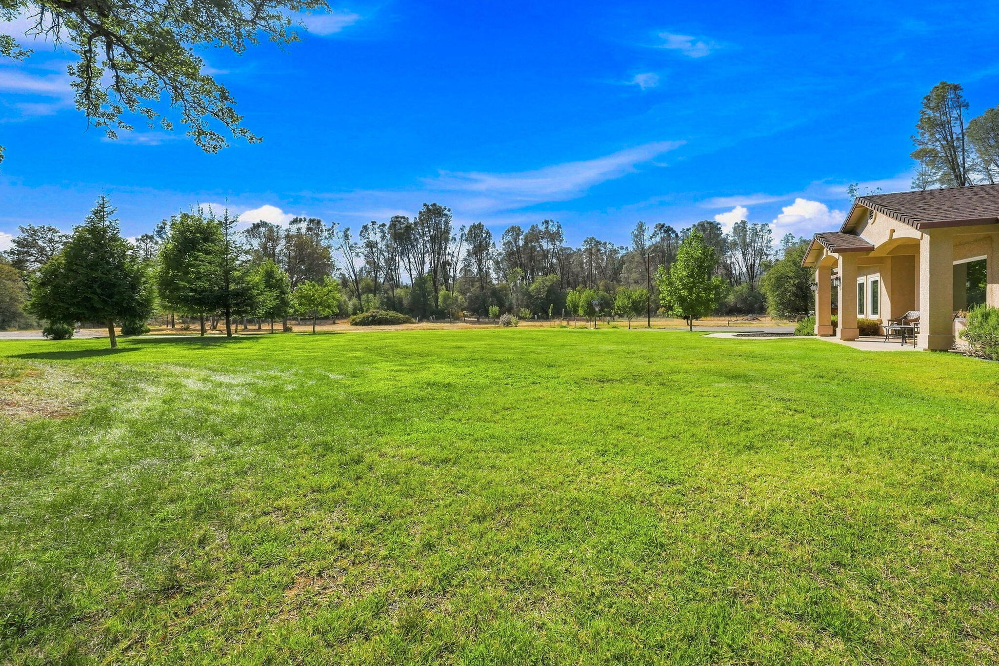 main property photo 43