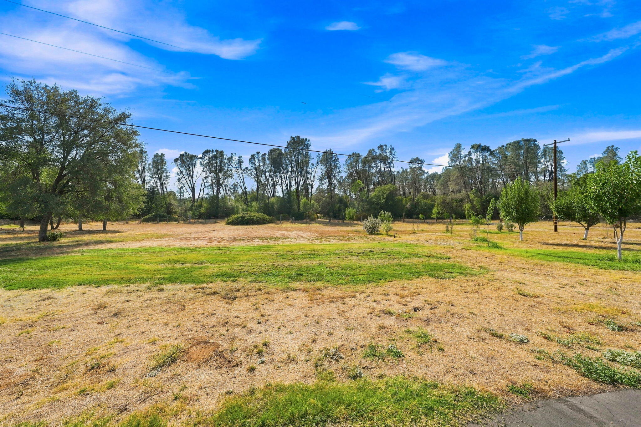 main property photo 57
