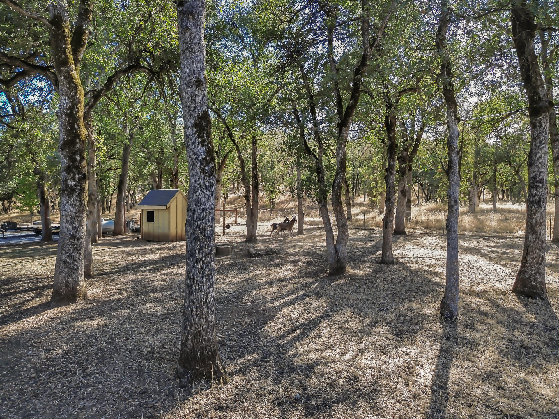 main property photo 55
