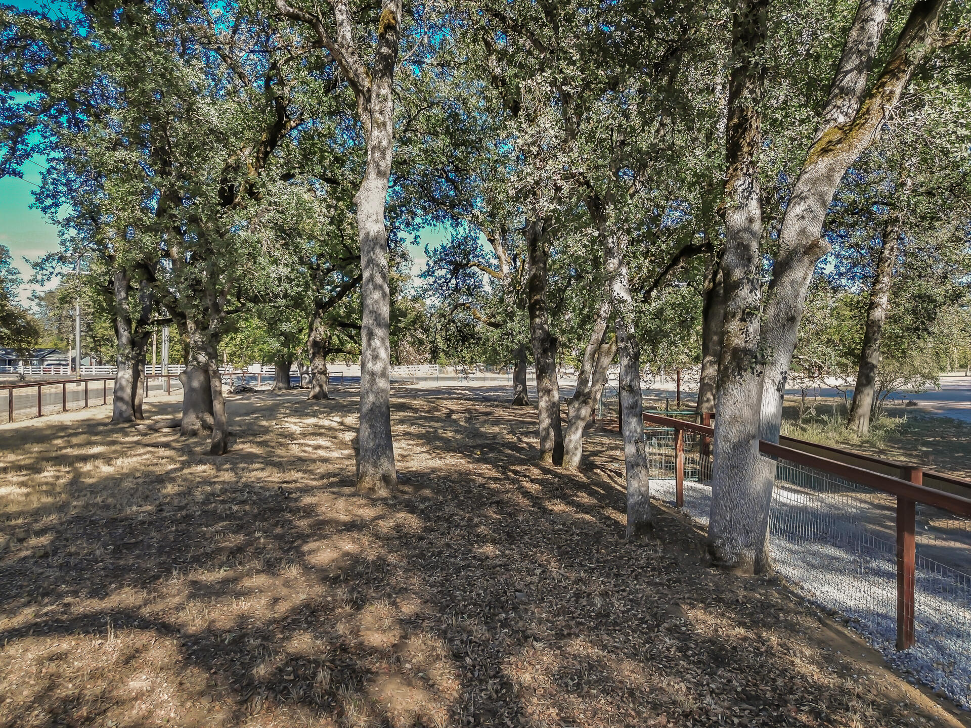 main property photo 62