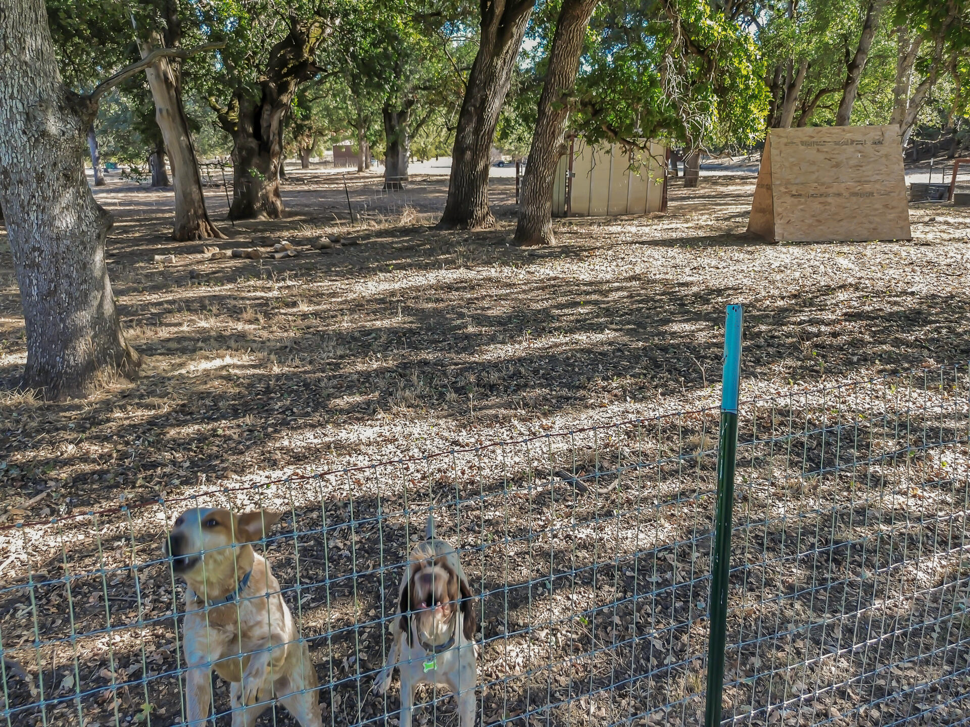 main property photo 64