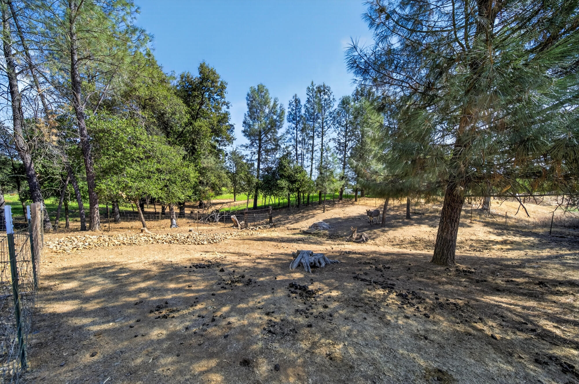 main property photo 51