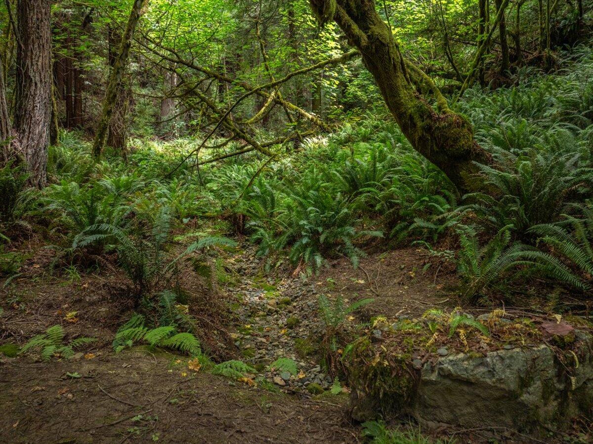 main property photo 60