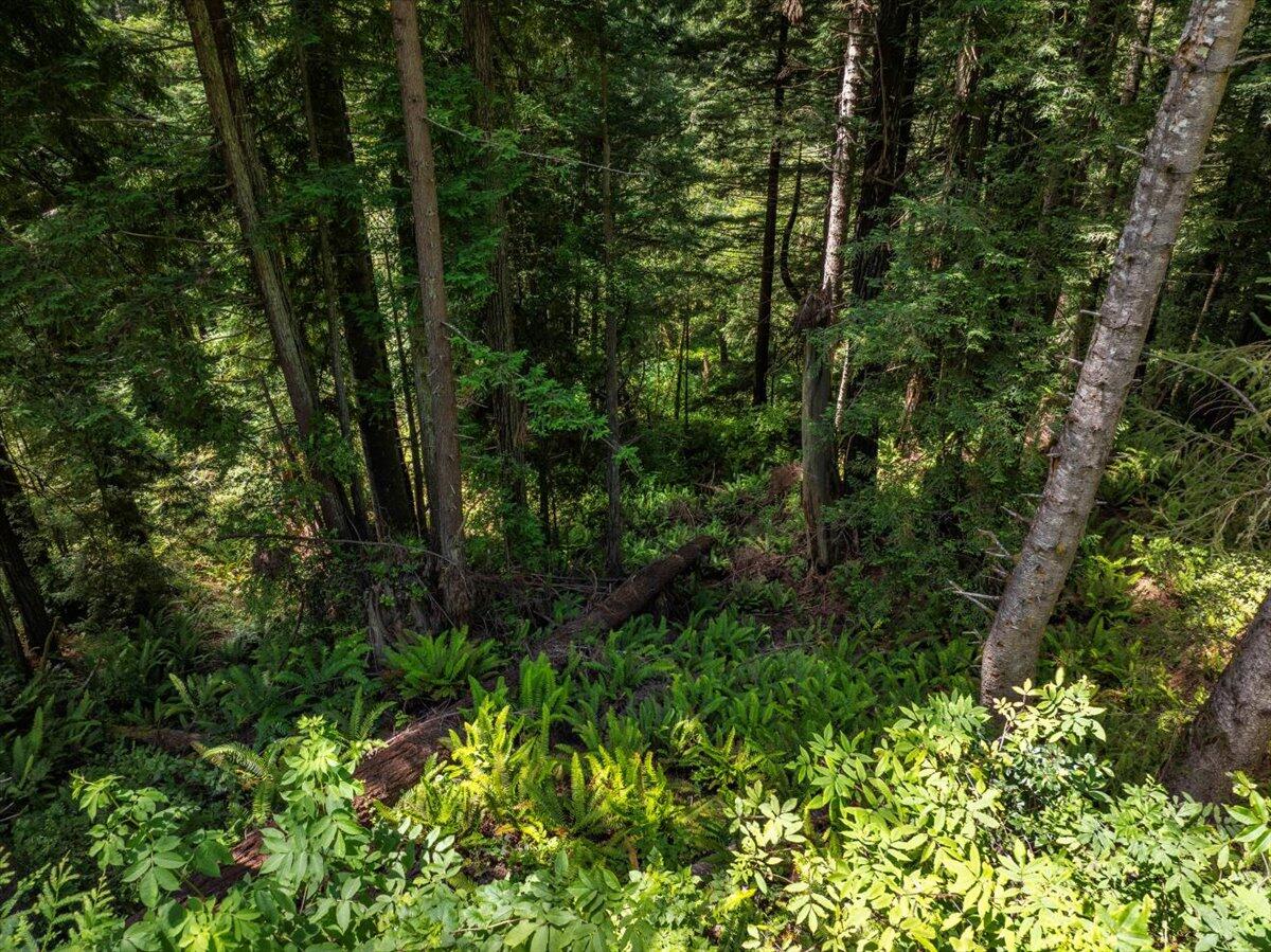 main property photo 64