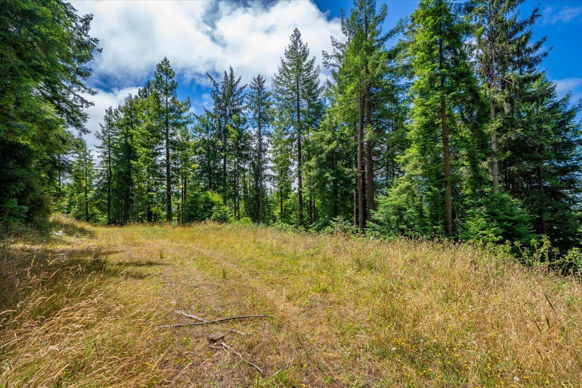 main property photo 65