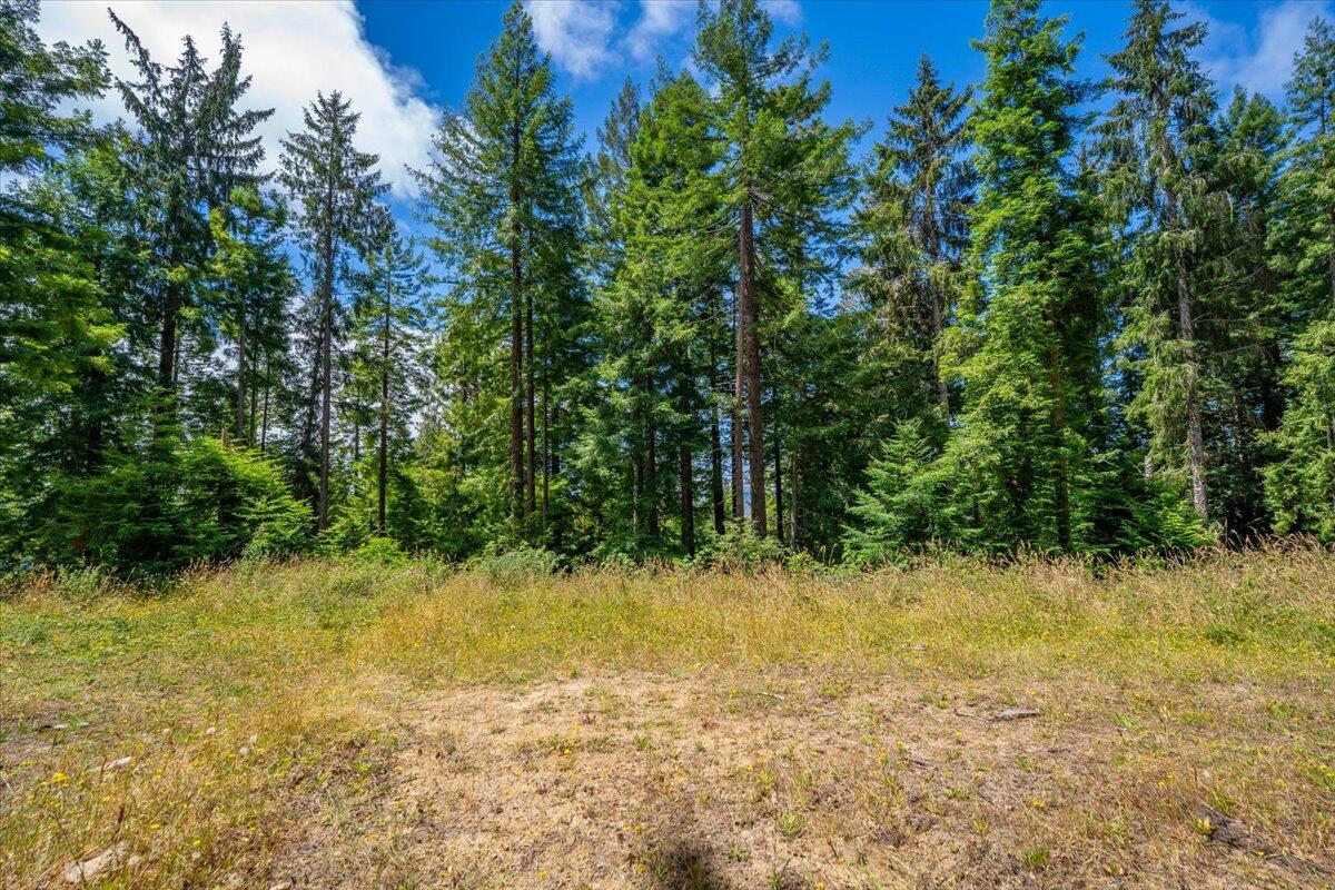 main property photo 66