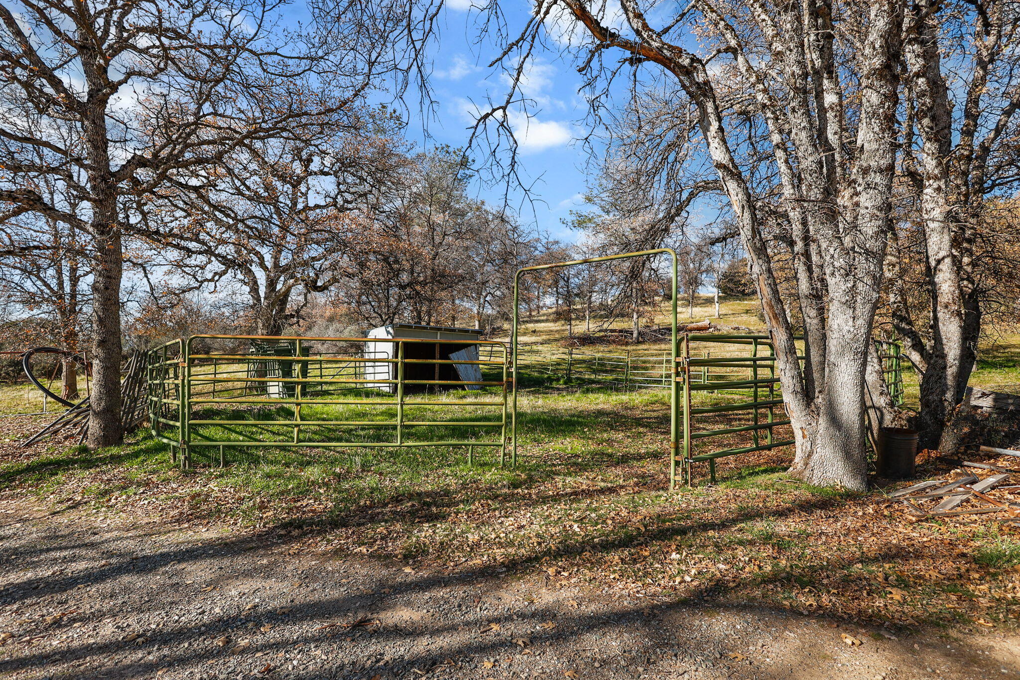 main property photo 31