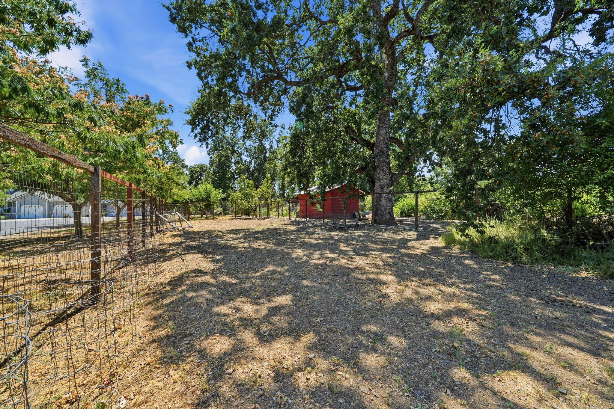 main property photo 69