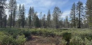 image of property with 0 Bed | 0 Bath | 0 Sqft
