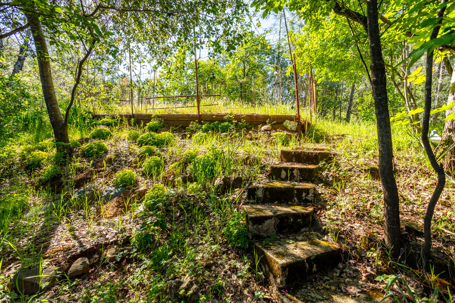 main property photo 26