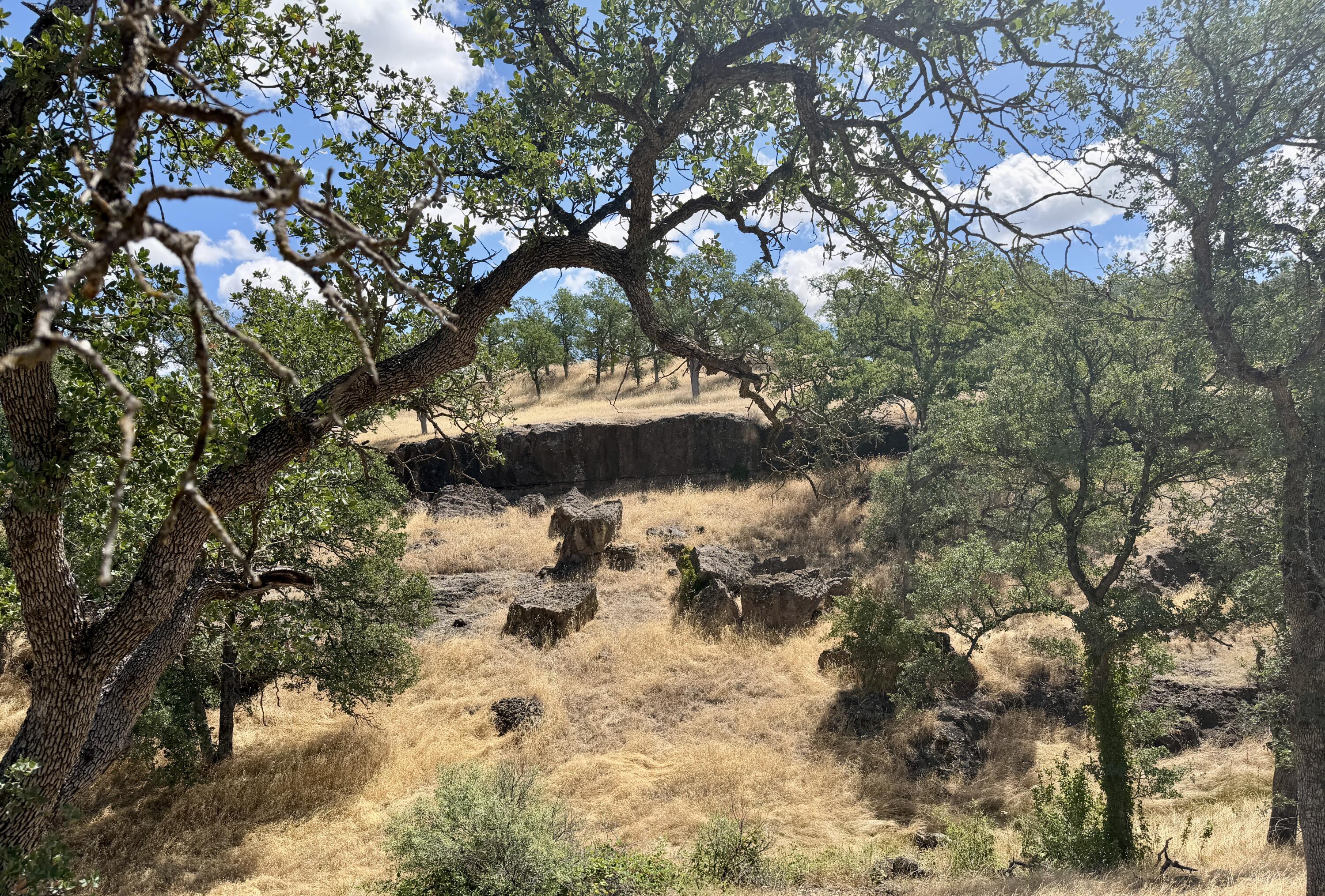 main property photo 84
