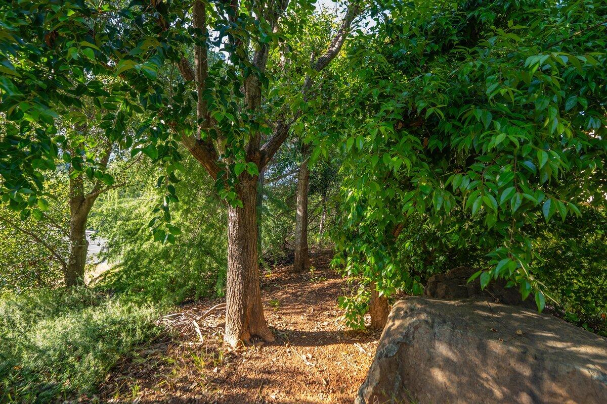 main property photo 59