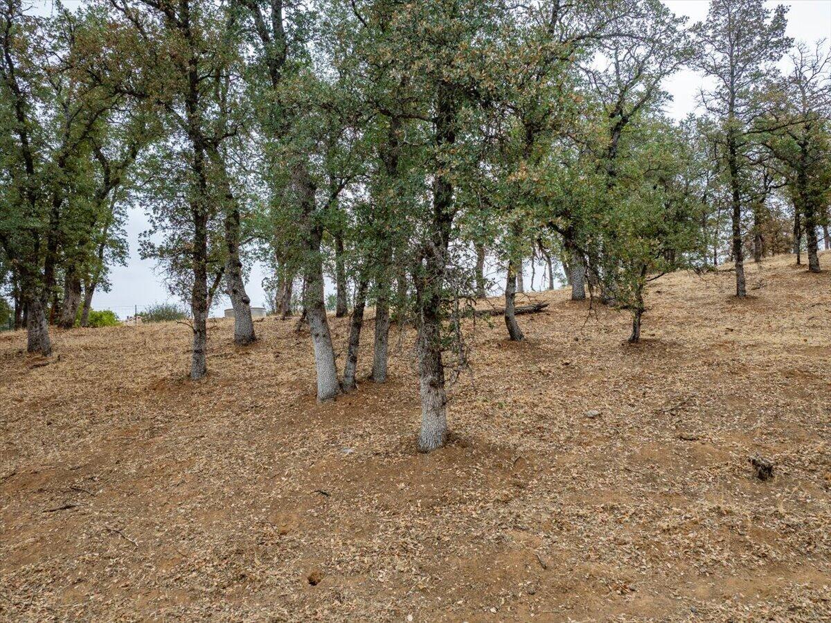 main property photo 112