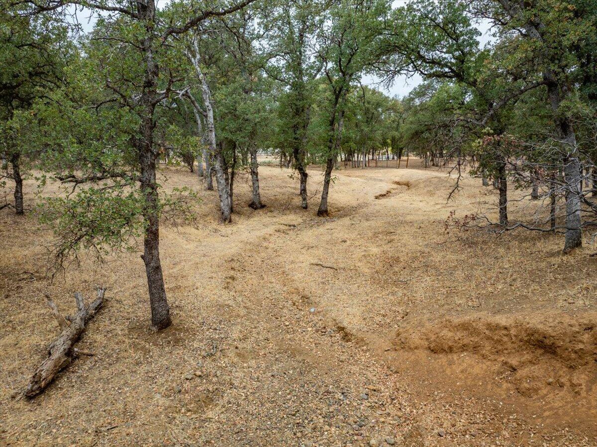 main property photo 113