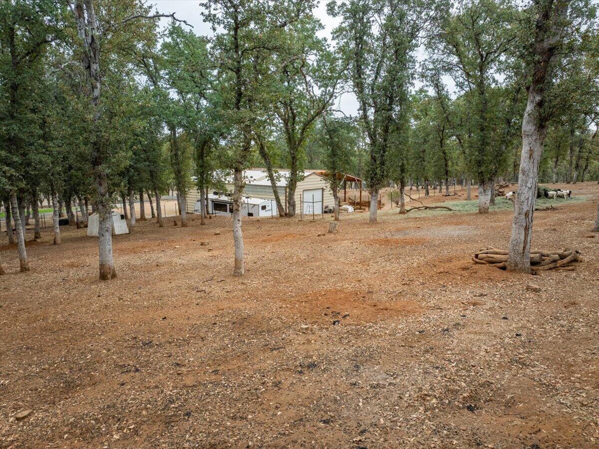 main property photo 52