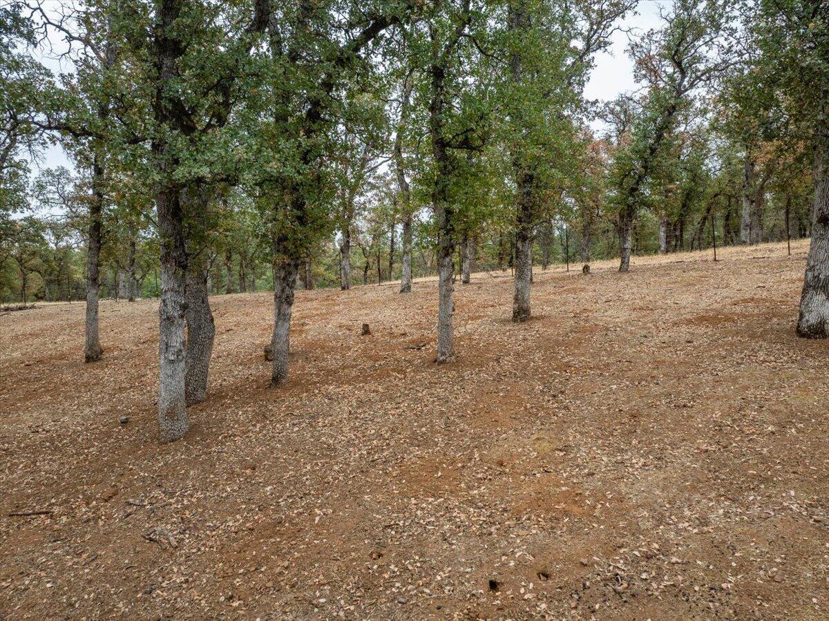 main property photo 53