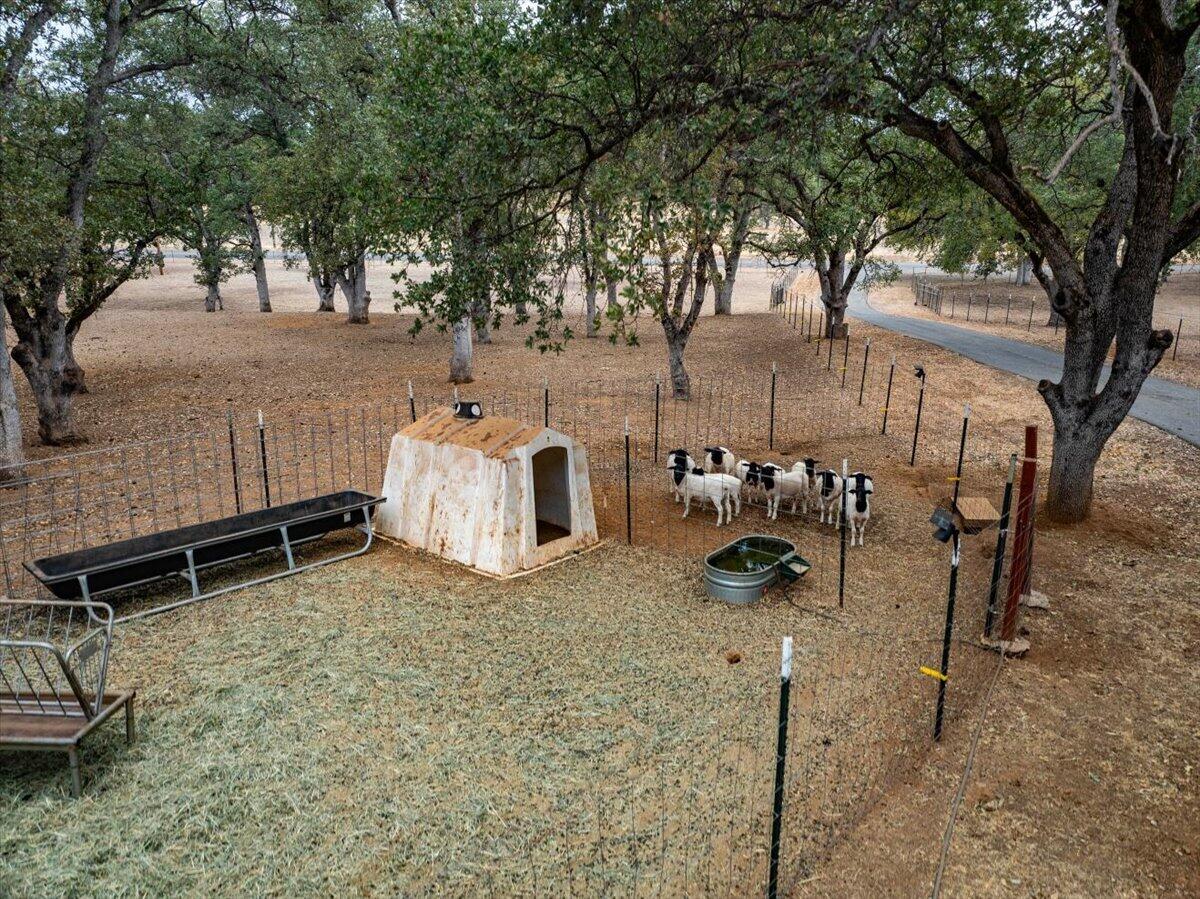 main property photo 54