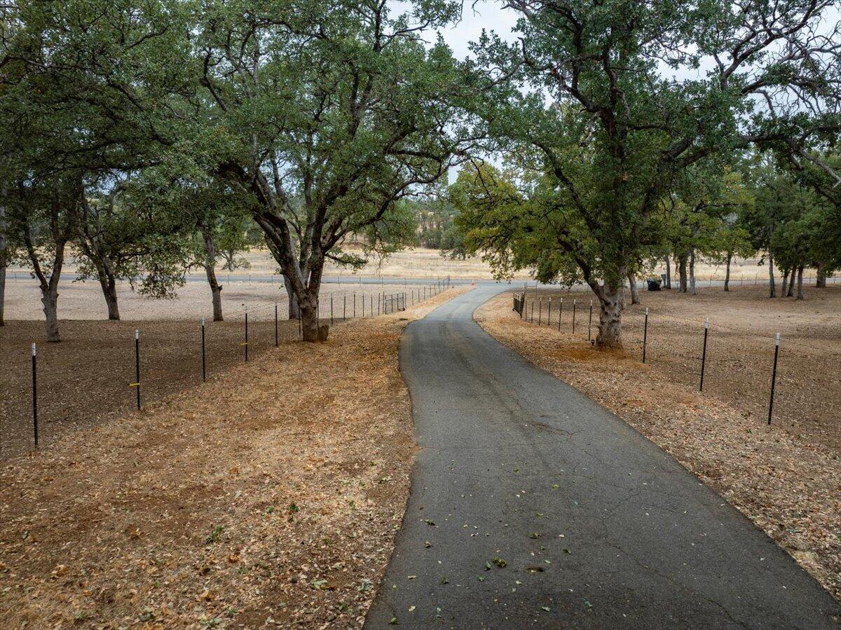 main property photo 55