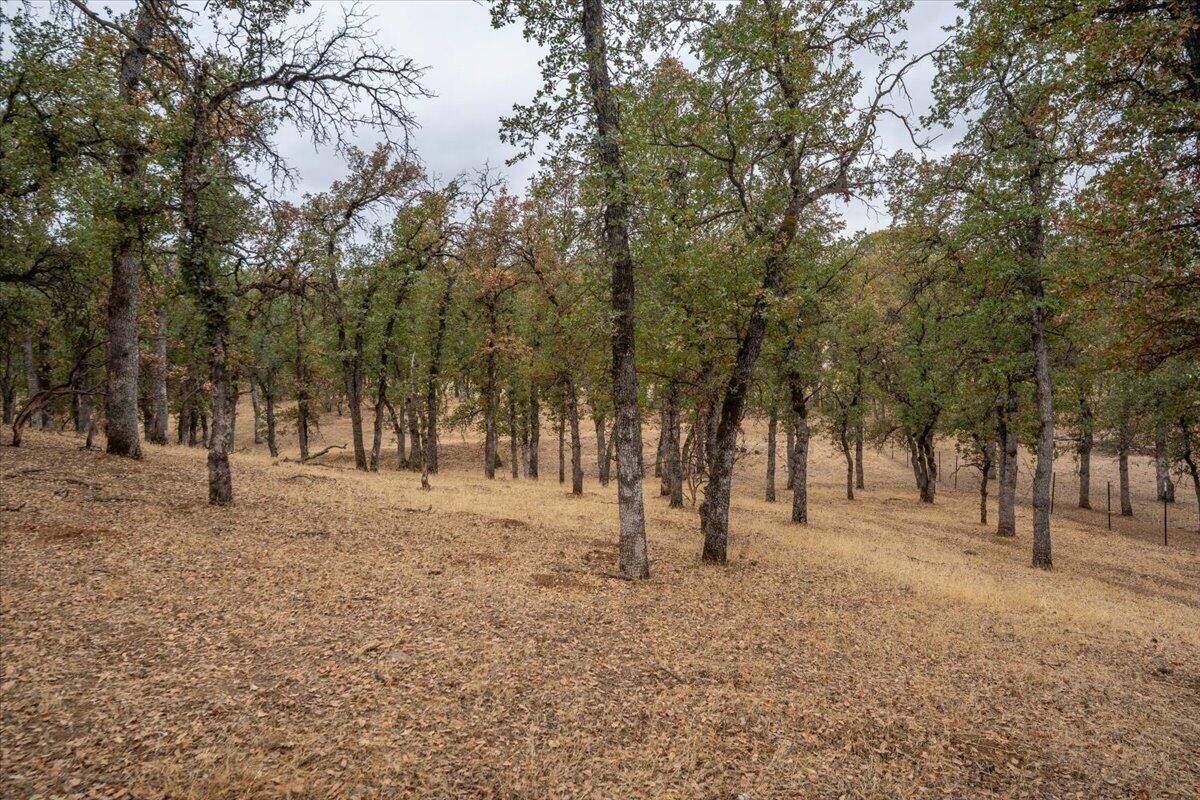 main property photo 78