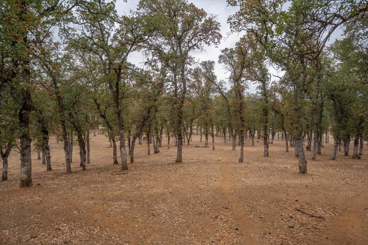 main property photo 79