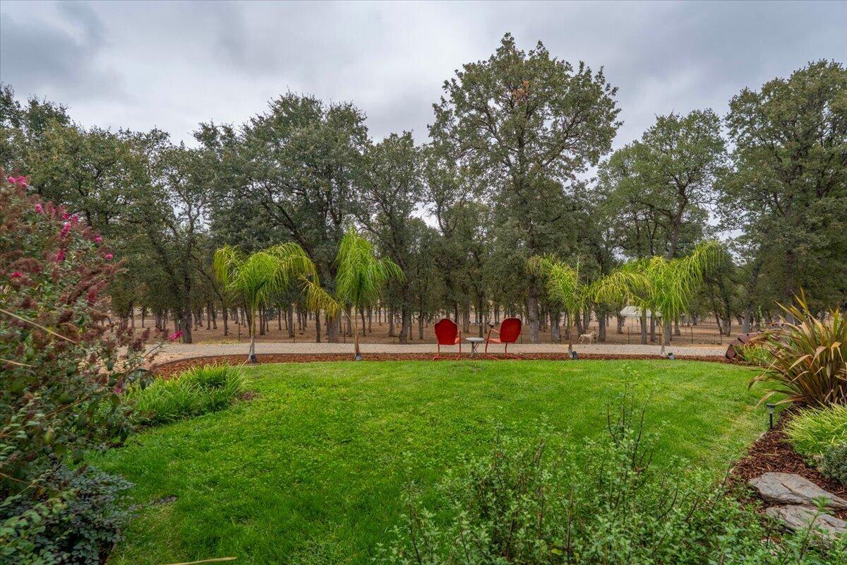 main property photo 87