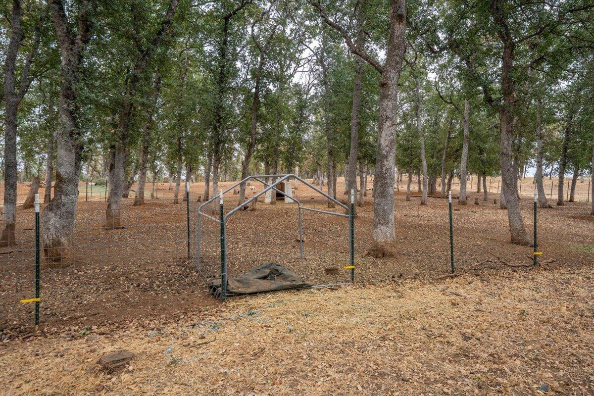 main property photo 91