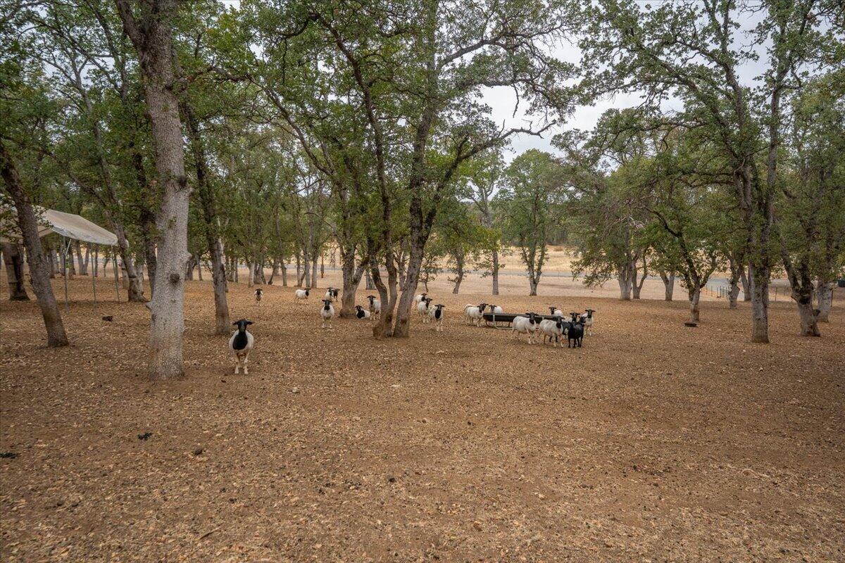 main property photo 94