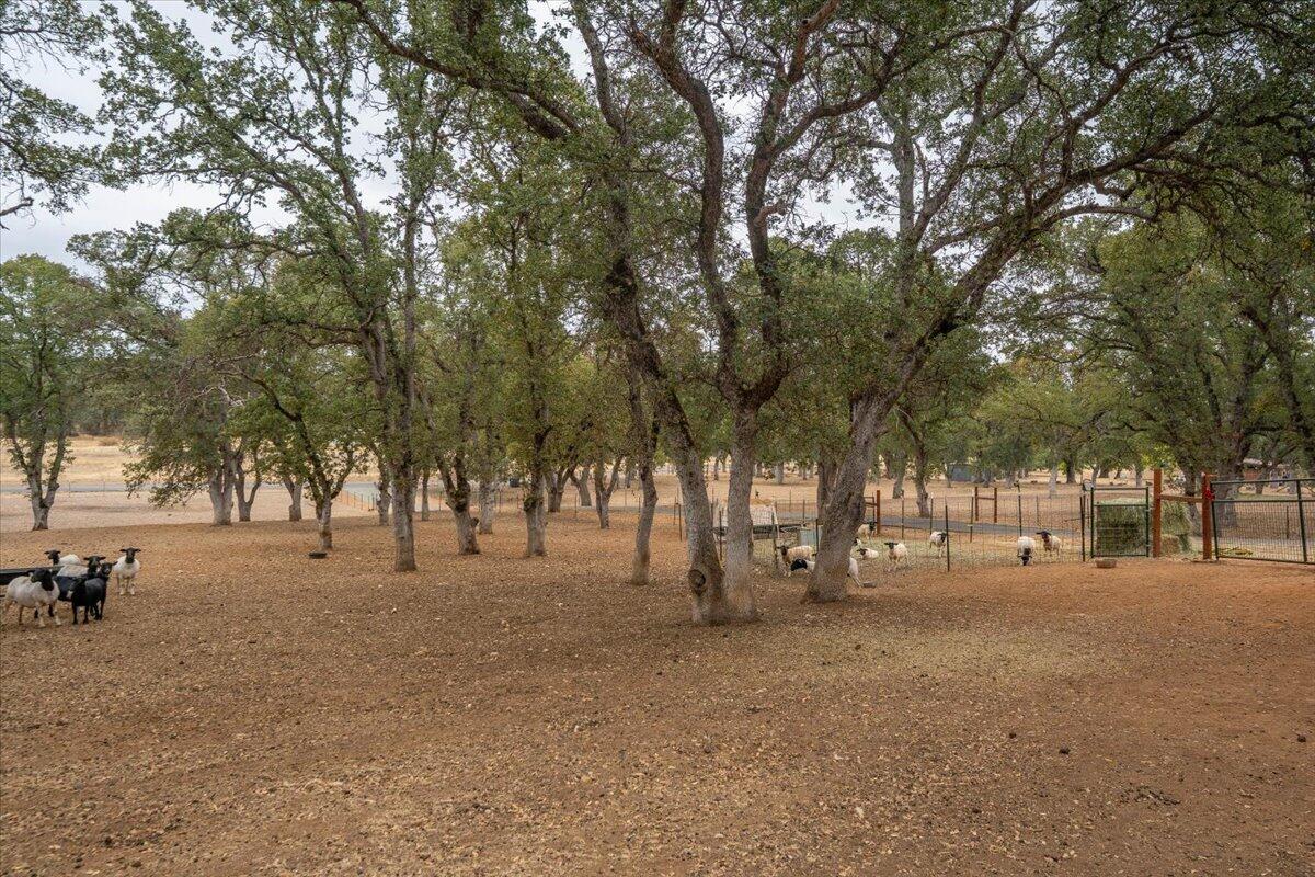 main property photo 95
