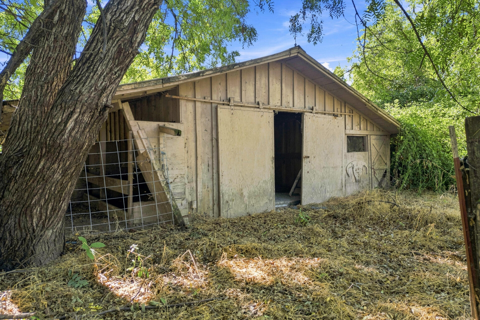 main property photo 37