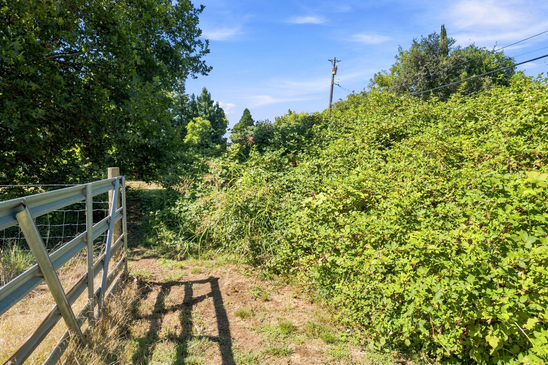 main property photo 48
