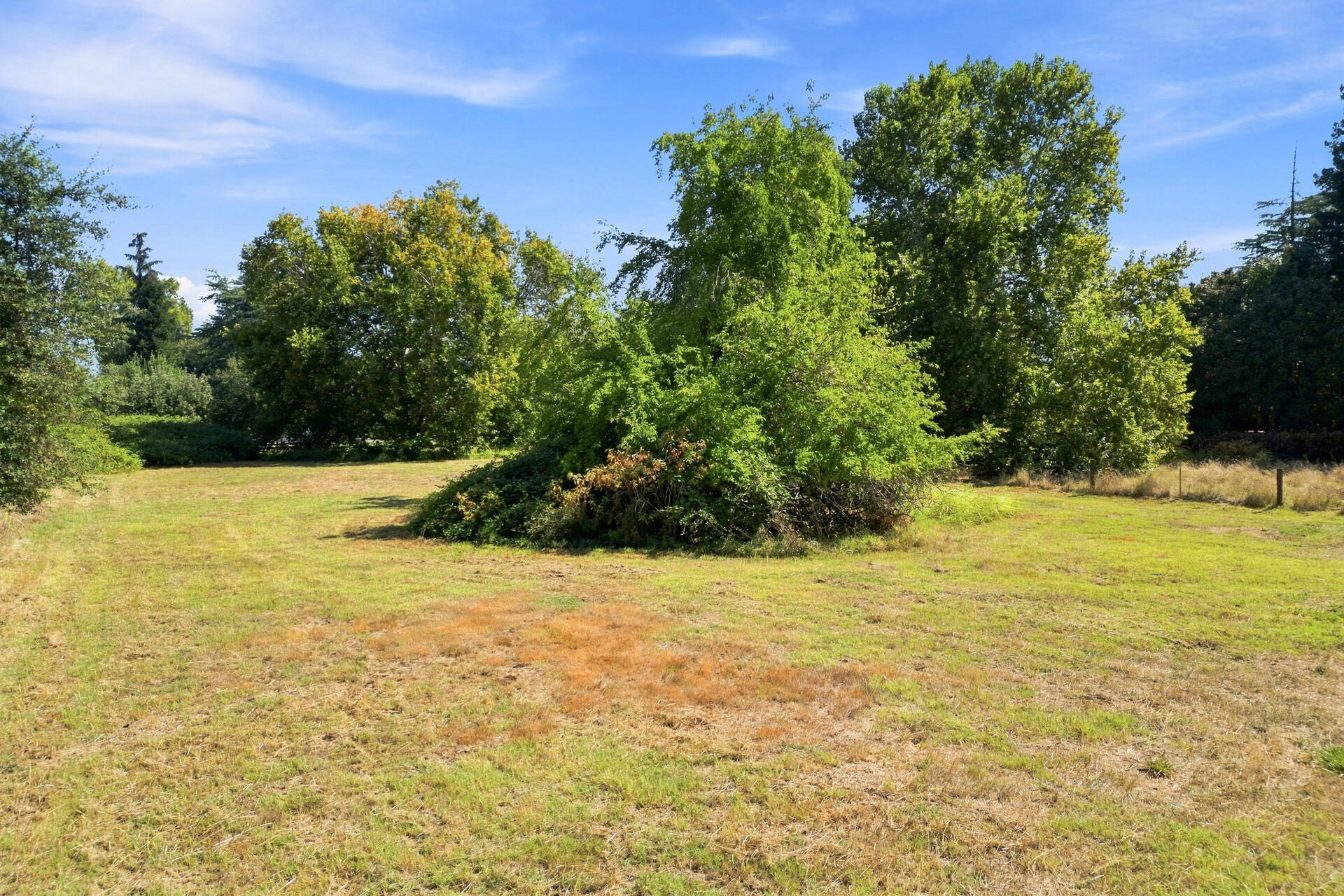 main property photo 49