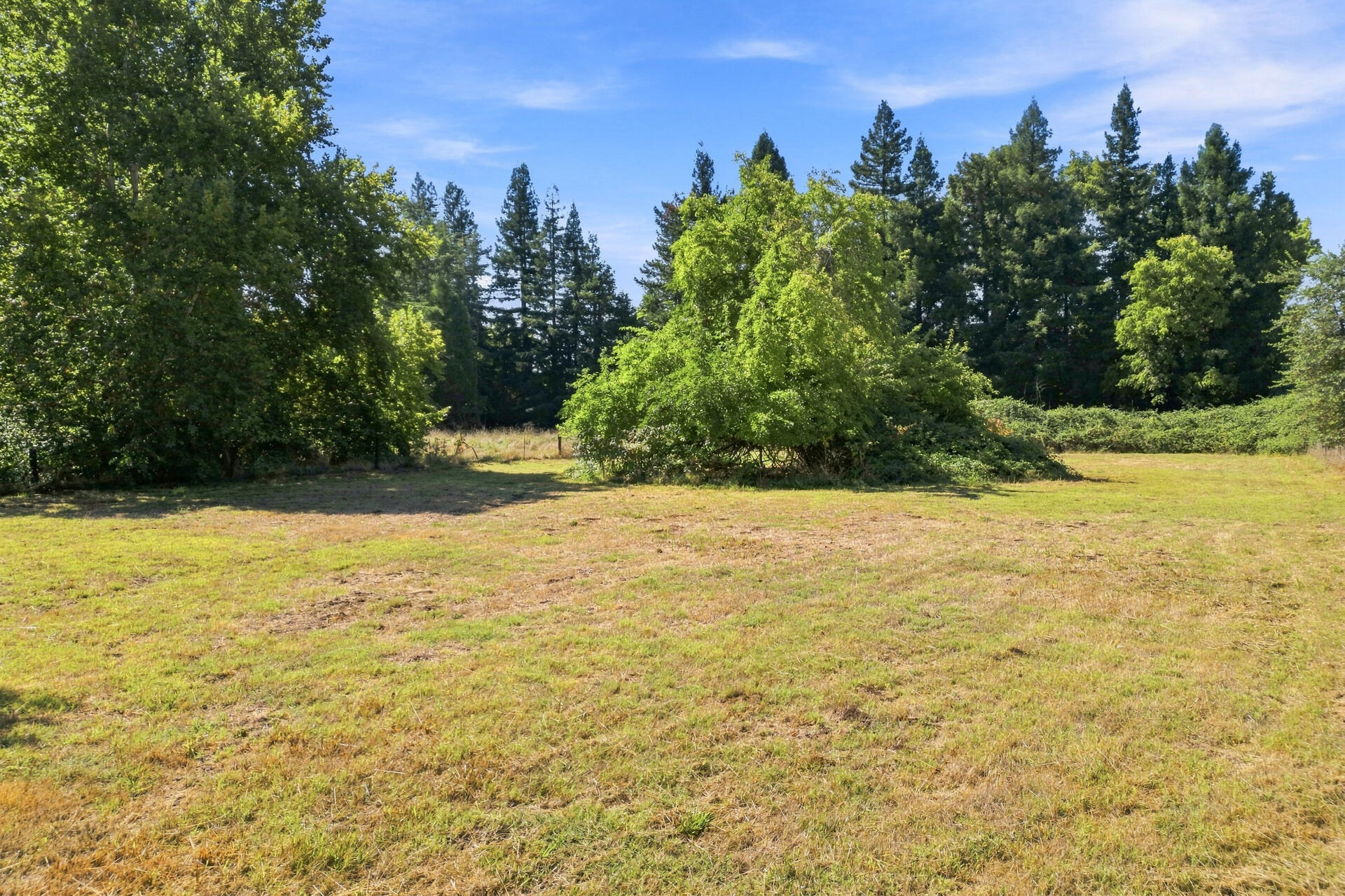 main property photo 52