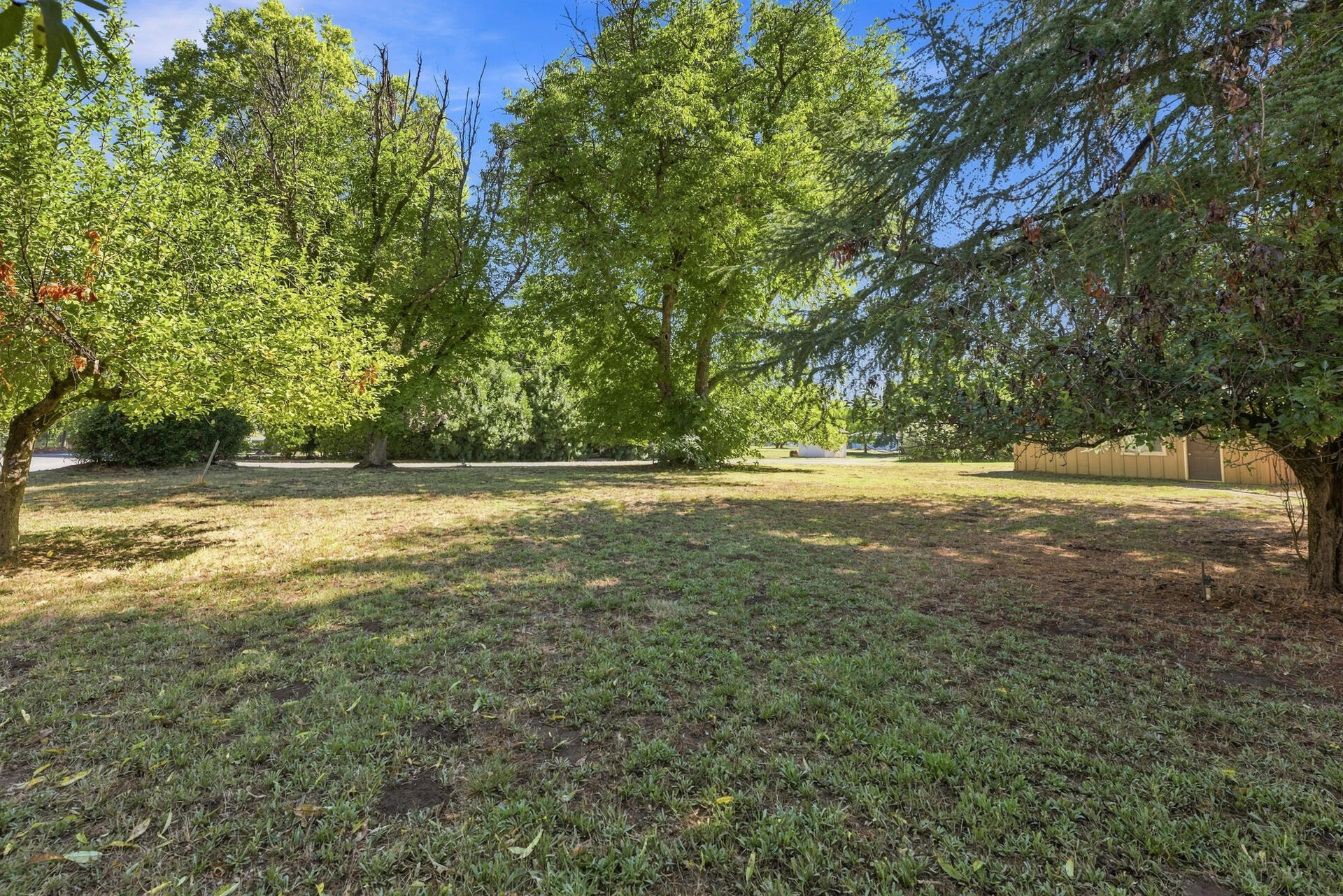 main property photo 53