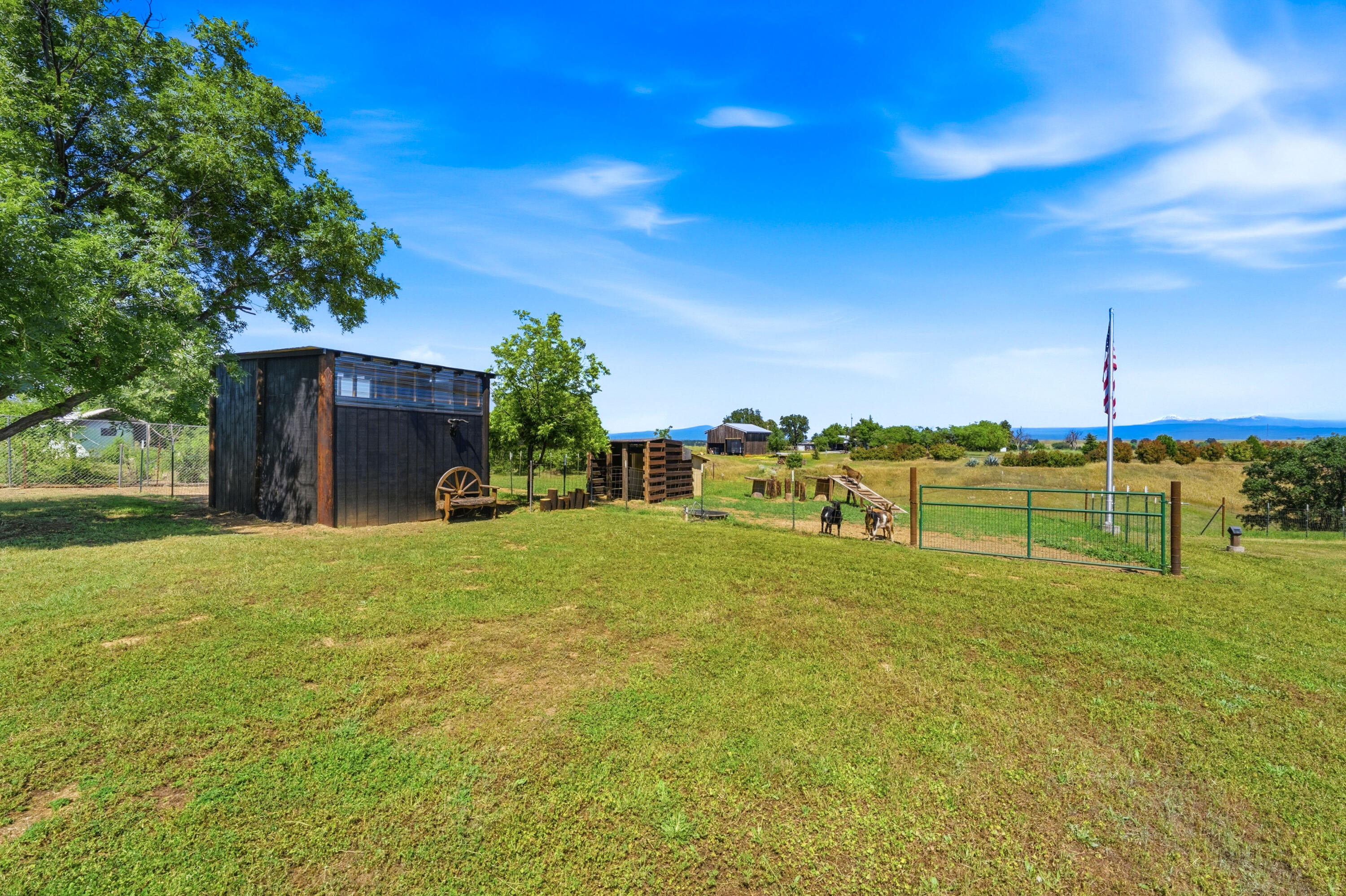 main property photo 56