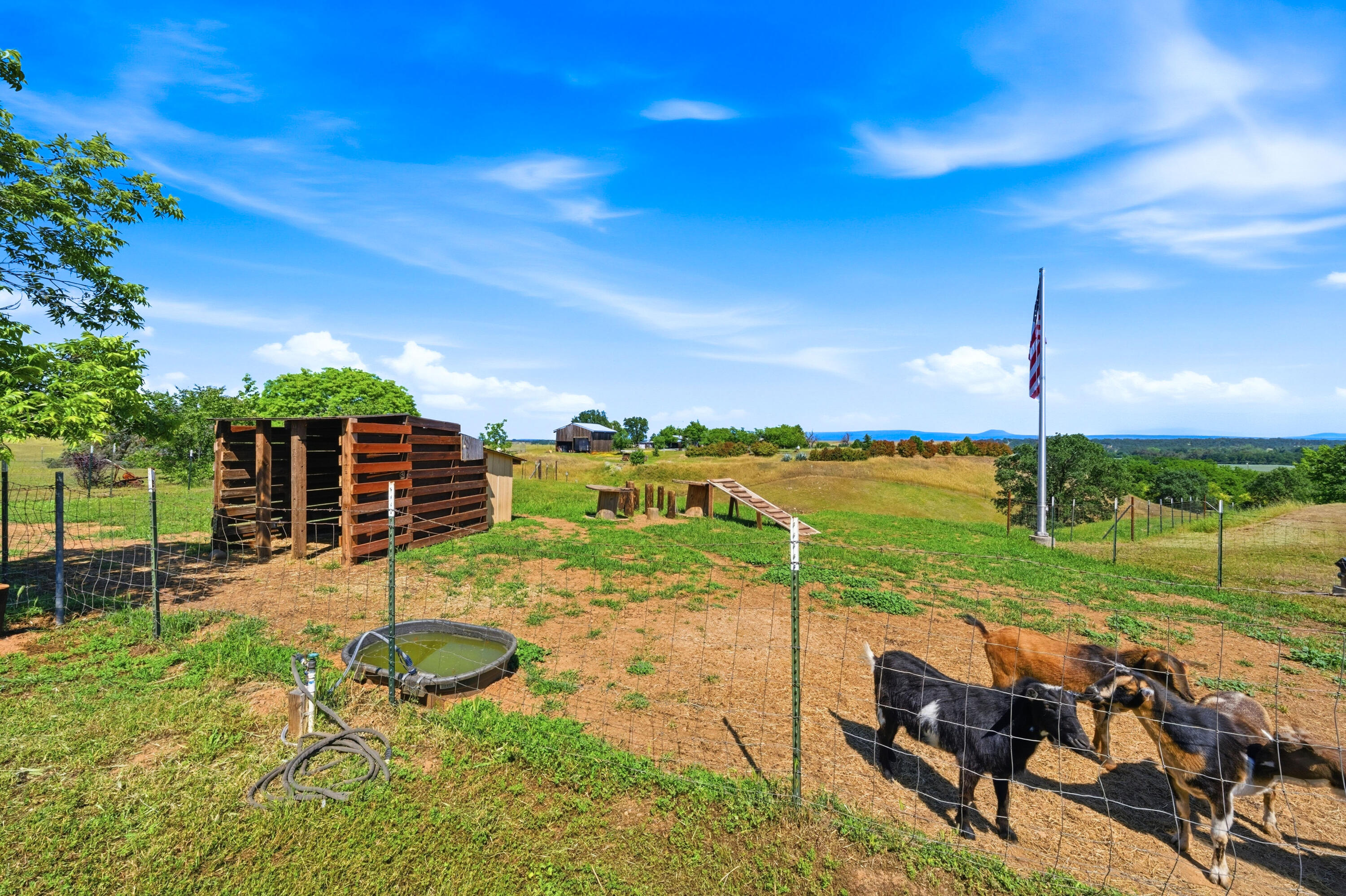 main property photo 58