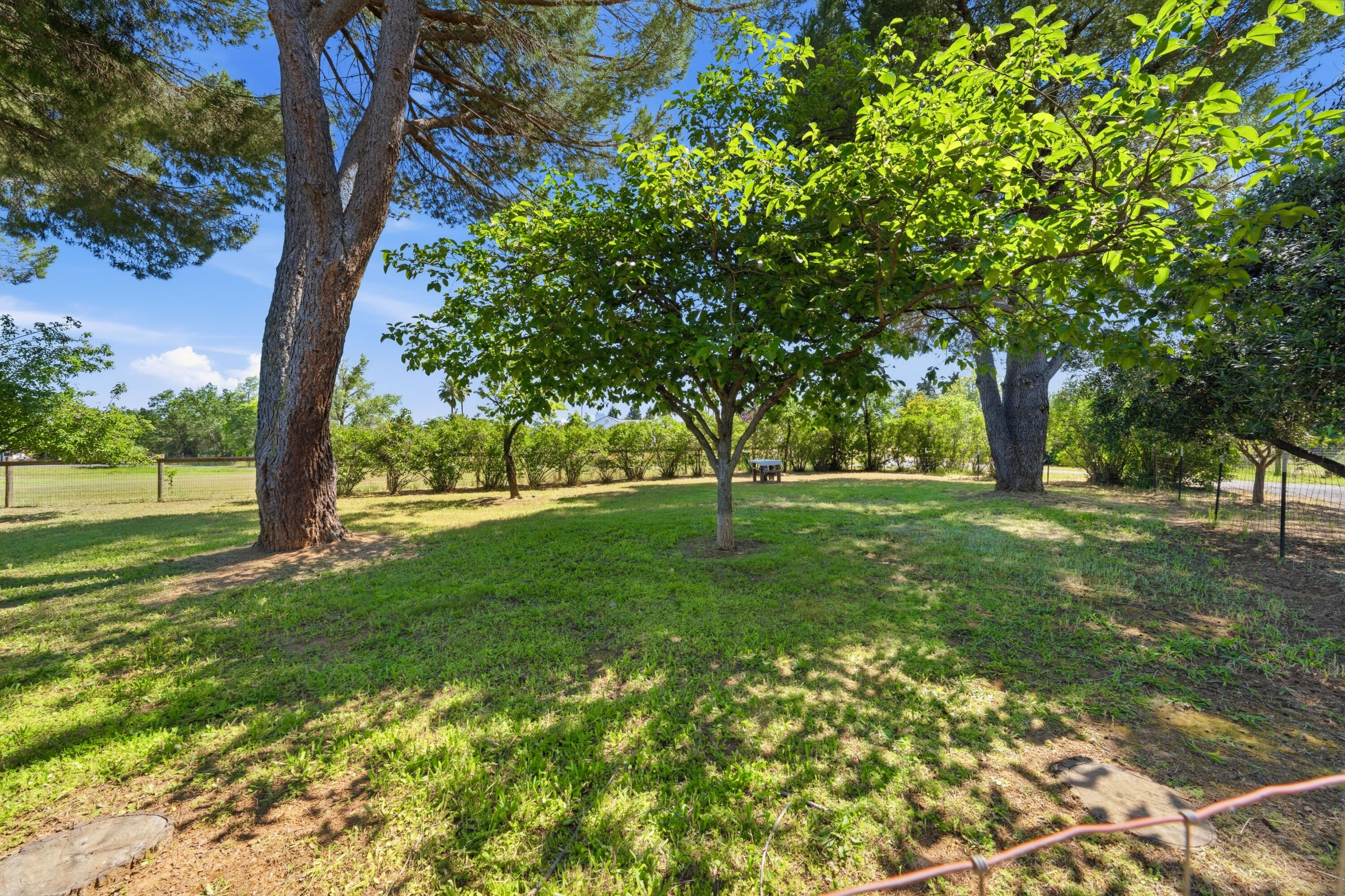 main property photo 60