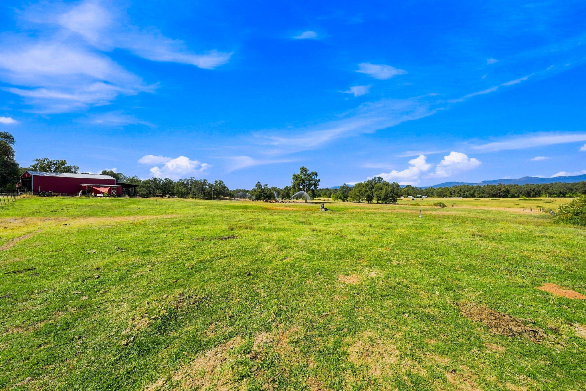 main property photo 54