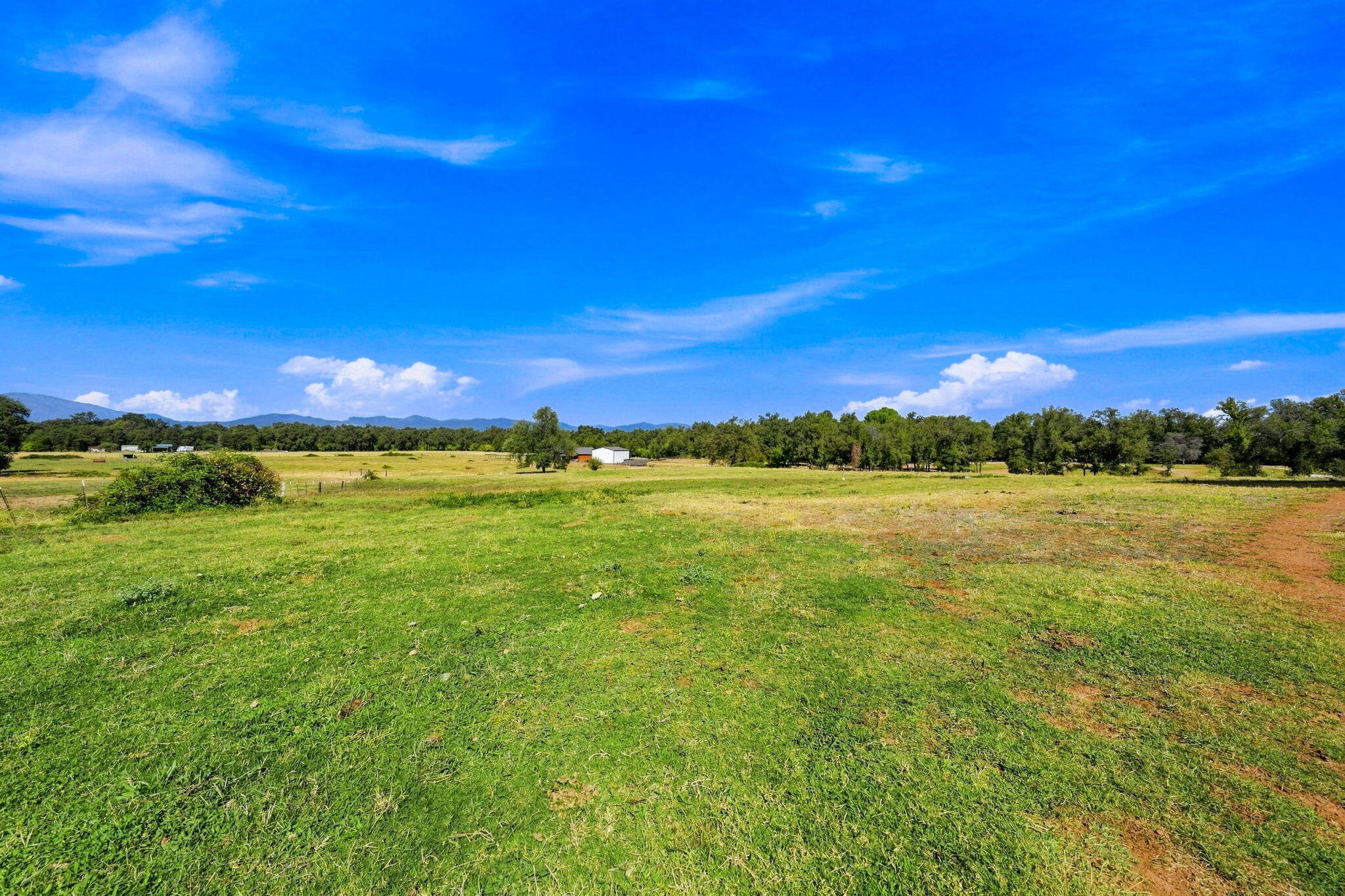 main property photo 55