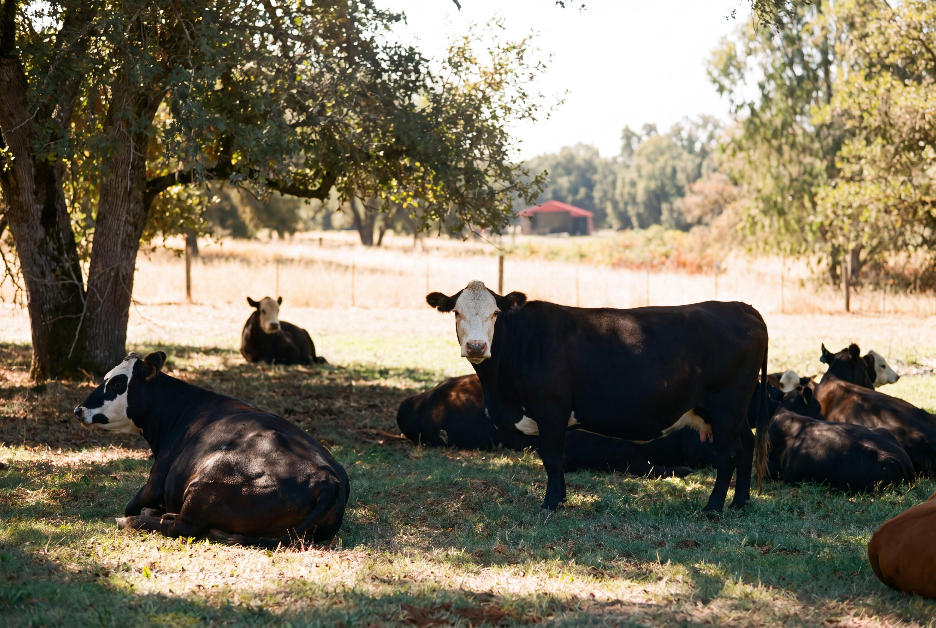 main property photo 64